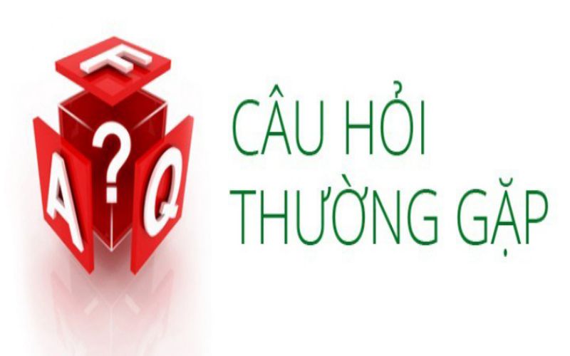 Tổng hợp các câu hỏi thường gặp Red88  Tổng hợp các câu hỏi thường gặp Red88